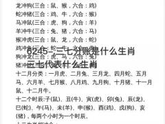 三七分账是什么生肖 三七代表什么生肖